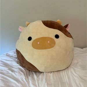 24” Ronnie squishmallow